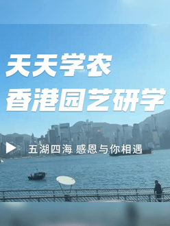 与香港园艺学会联合举办香港园艺研学，专业园境师带队讲解。