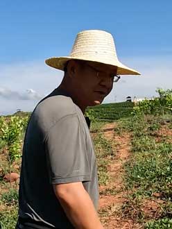 农业人叶涛，50多岁通讯人跨界搞农业，他要用1000万打造一个梦。